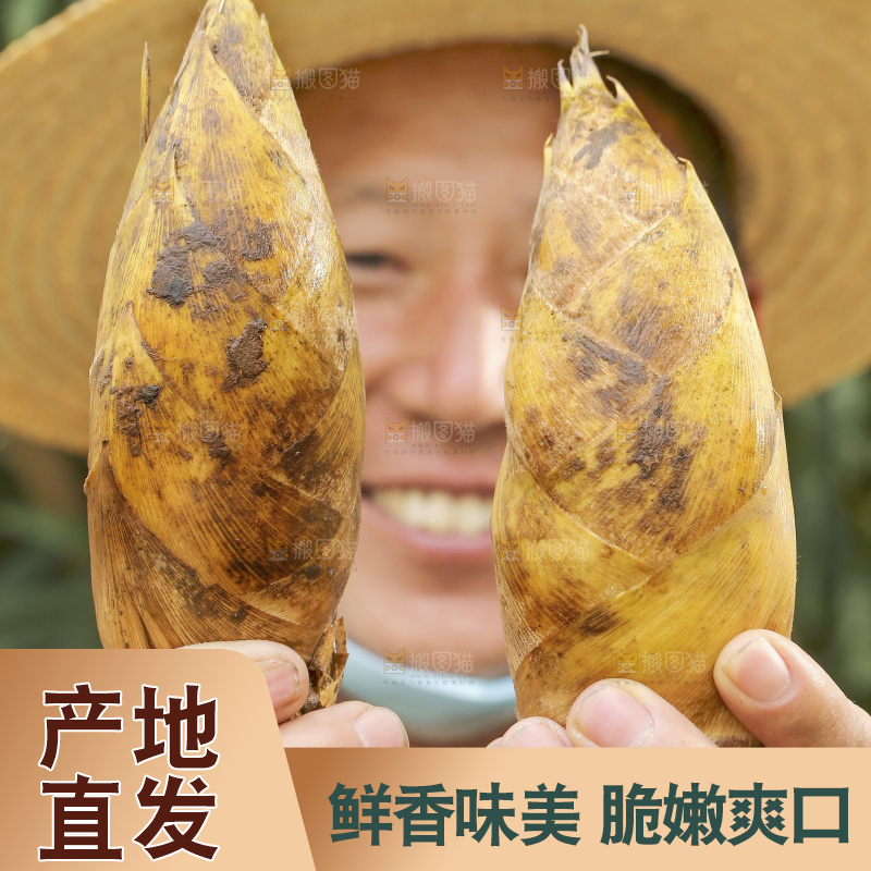 农民手里拿着冬笋