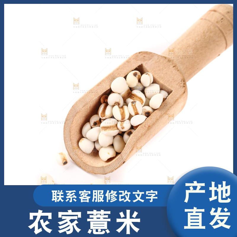 勺子里的贵州薏米