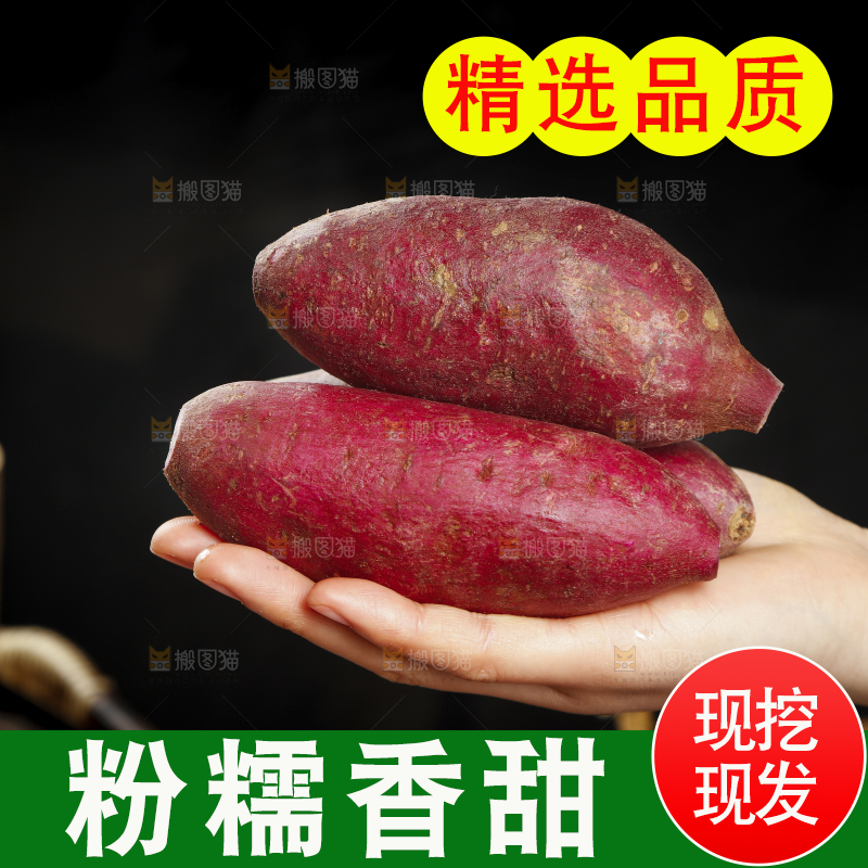 手里拿着紫罗兰紫薯