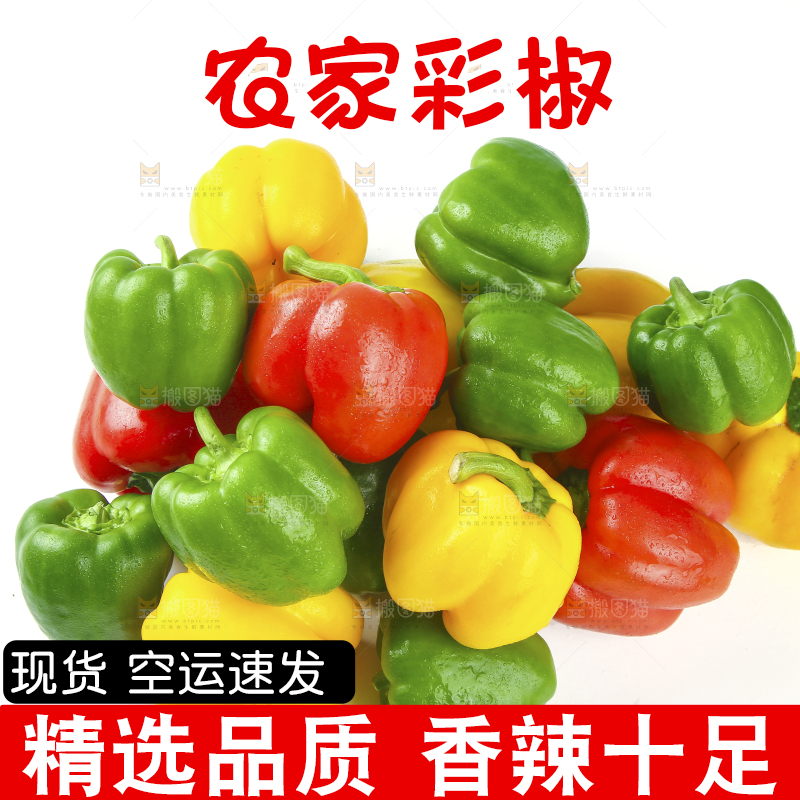 白底上放着一堆五彩灯笼椒
