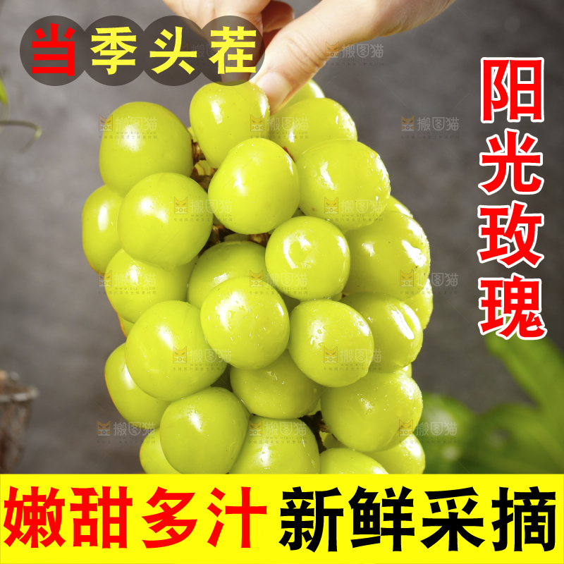 手拿一串阳光玫瑰