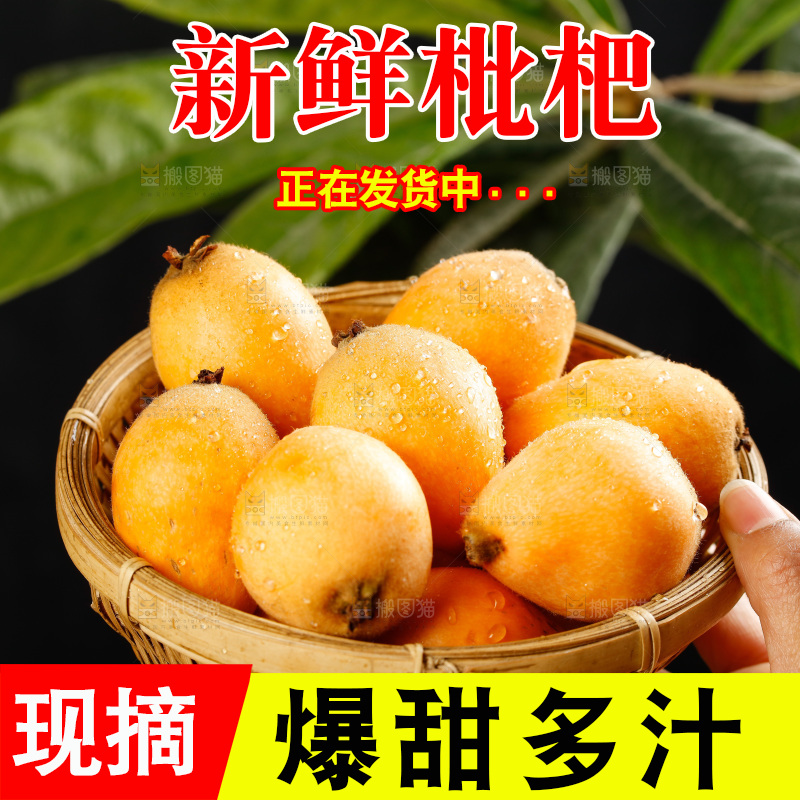 篮子里装着五星枇杷