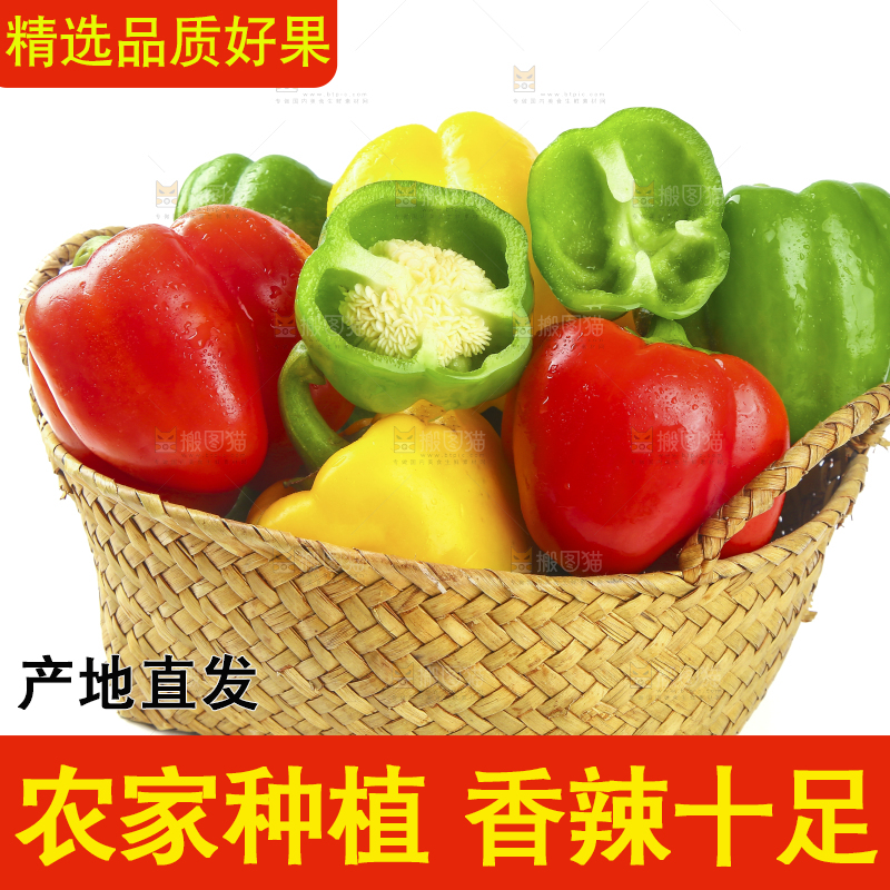 白底上放着一篮山东彩椒