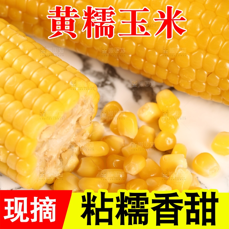 盘子里的甜糯玉米