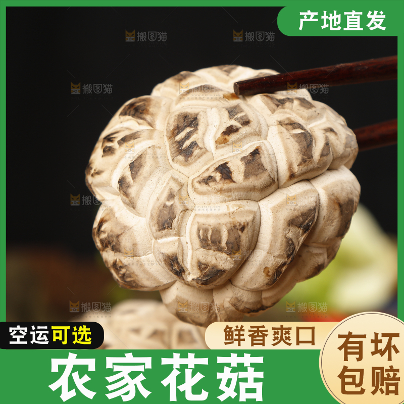筷子上夹着干花菇