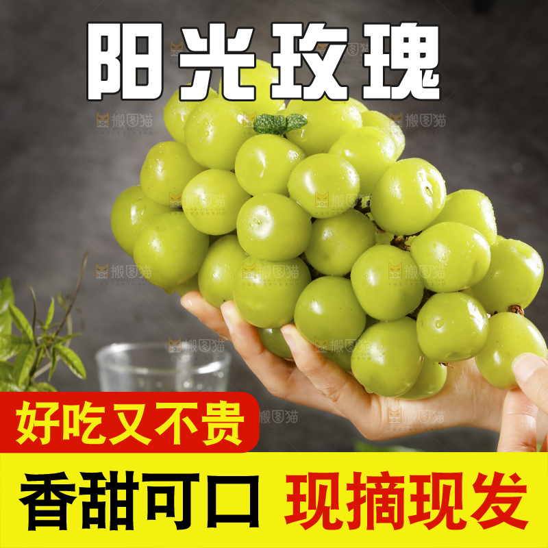 手拿一串阳光玫瑰