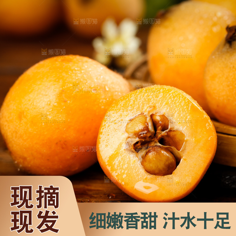 木底上的四川米易枇杷