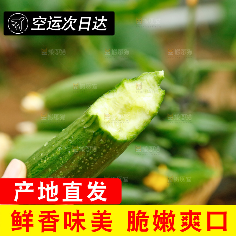 手里拿着掰开的黄瓜