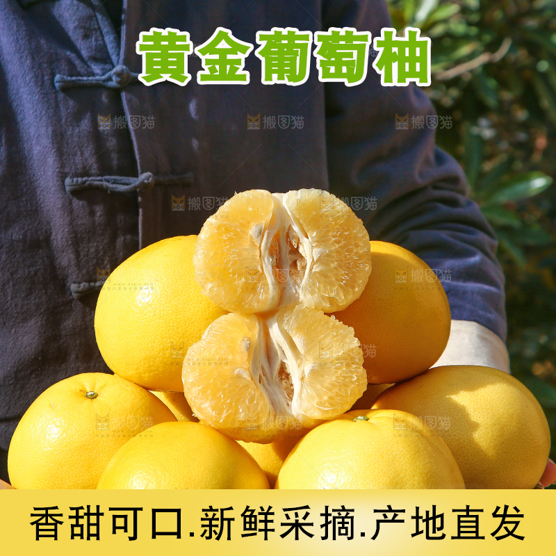 手里端着一篮新鲜黄金葡萄柚