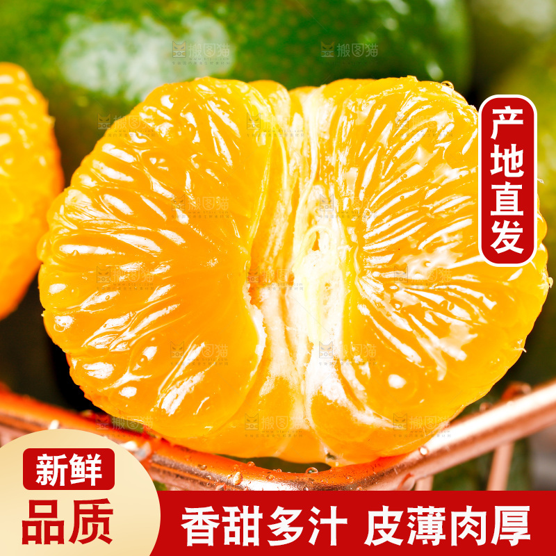 筐子里装着清香茶橘