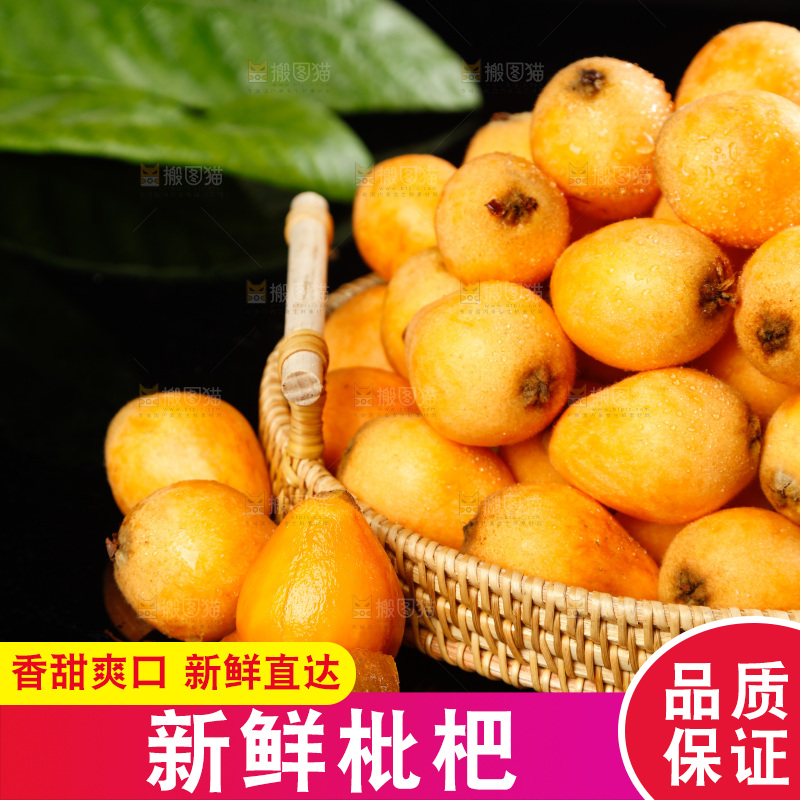 黑底上的枇杷果