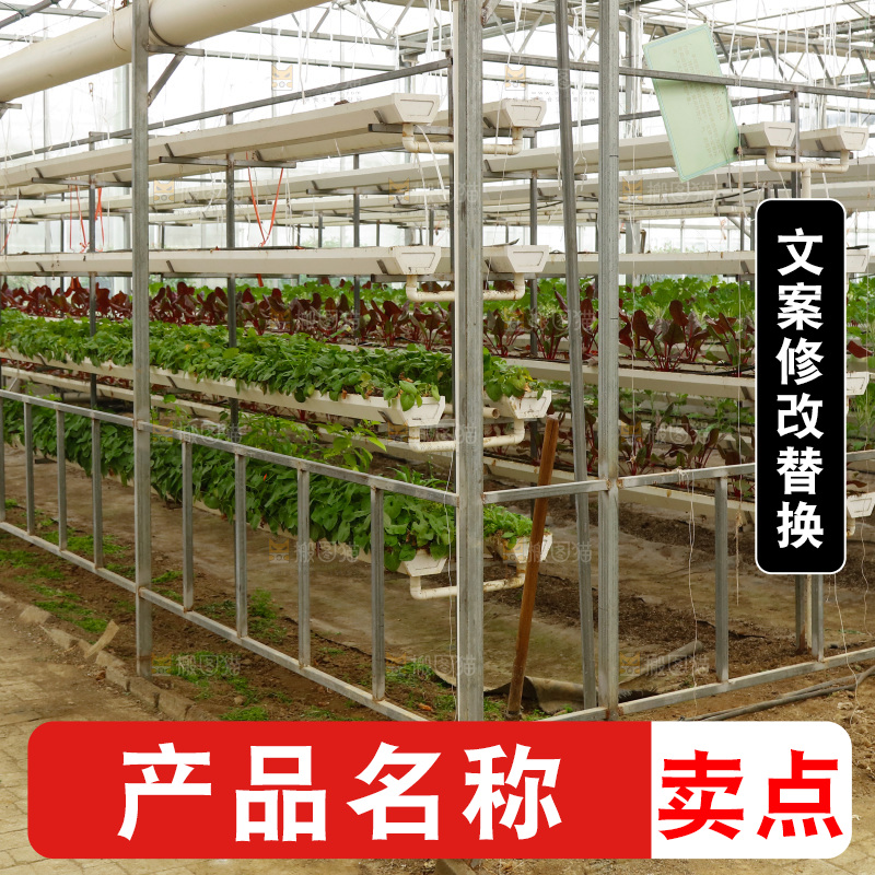 温室种植蔬菜