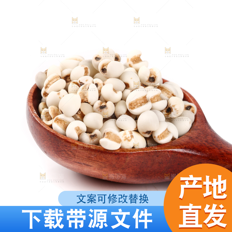 白底上放着一勺薏米仁