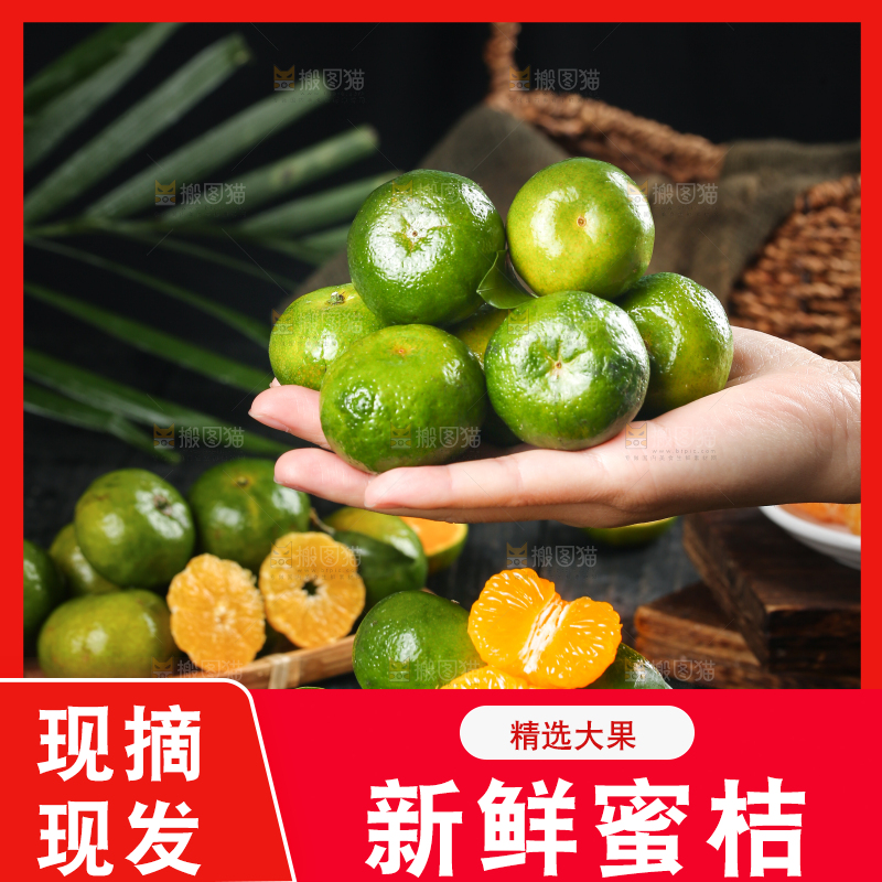 手里捧着广西清香蜜桔