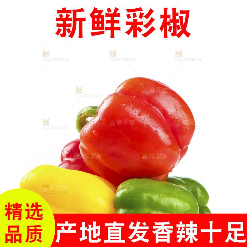 白底上放着一盘五彩圆椒