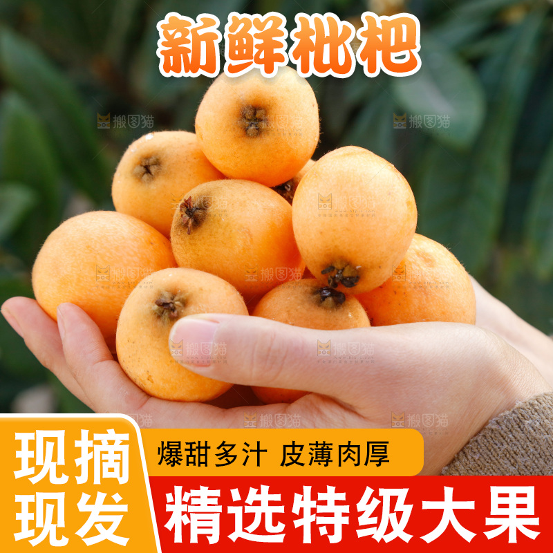 手里捧着枇杷