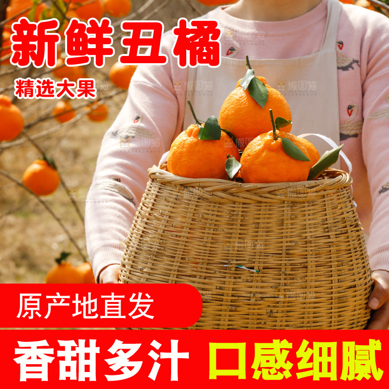 手里端着一筐丑橘