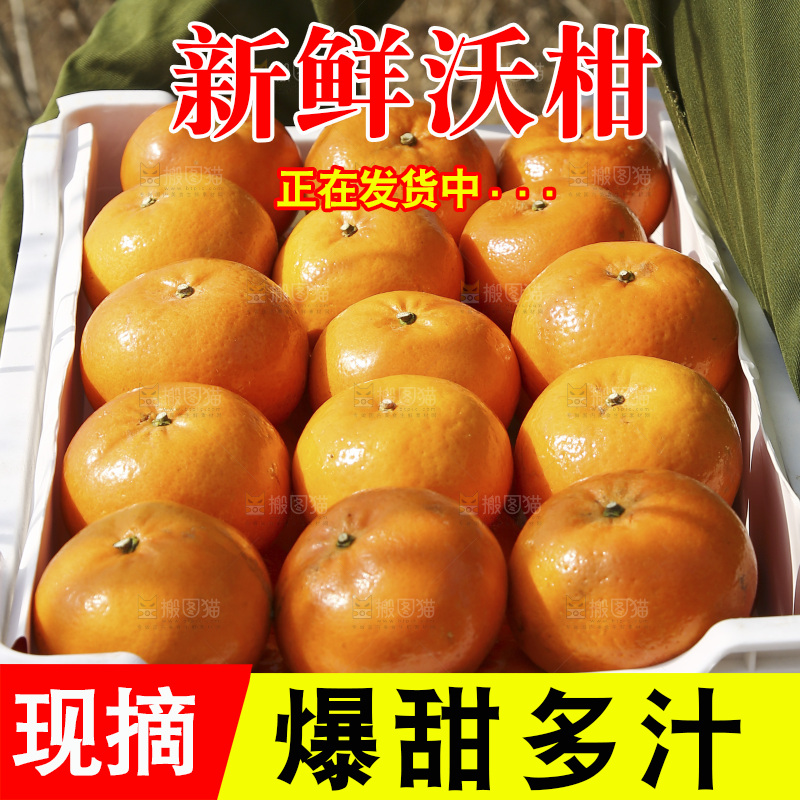 手里抱着一框广西武鸣沃柑