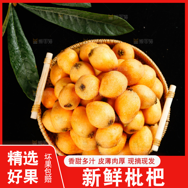 篮子里装着米易枇杷