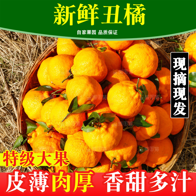 草地上放着一篮不知火丑橘