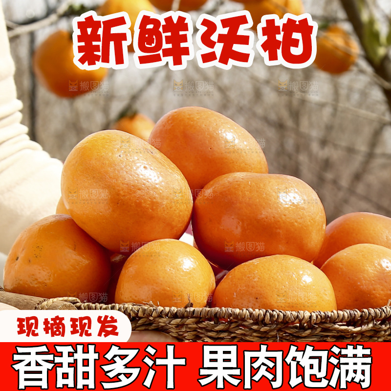 手里端着一篮广西武鸣沃柑