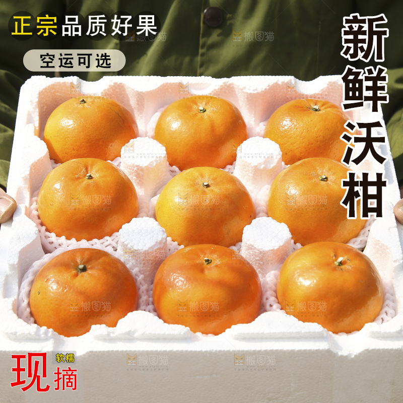 泡沫箱里装着武鸣沃柑
