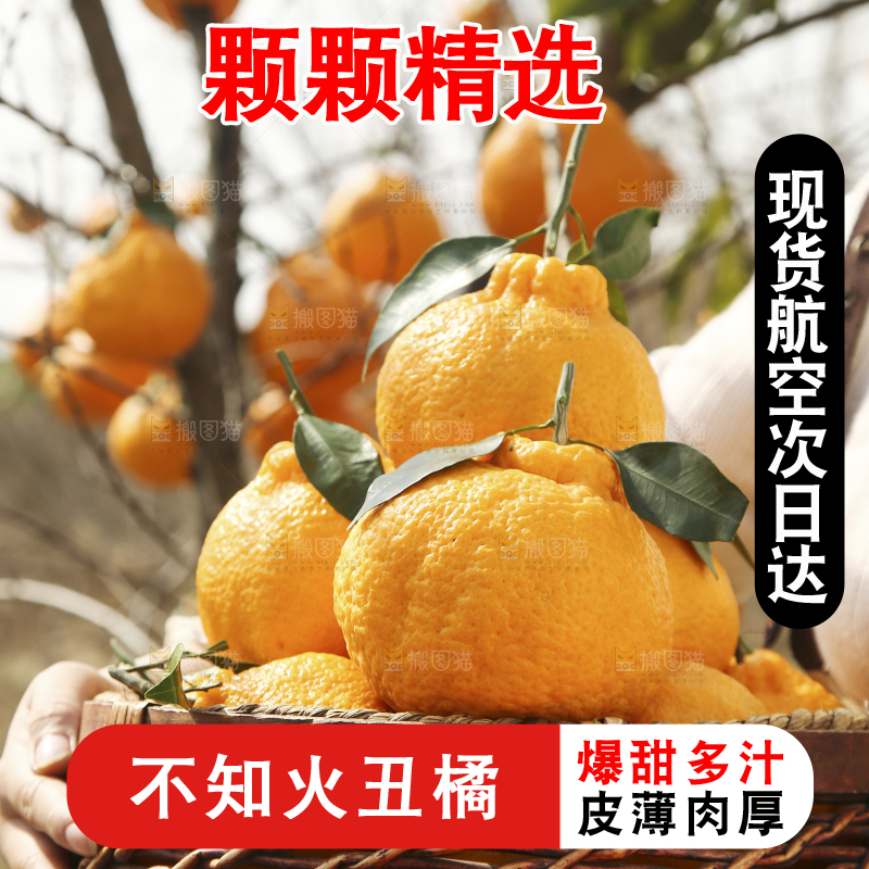 手里抱着一篮四川丑橘