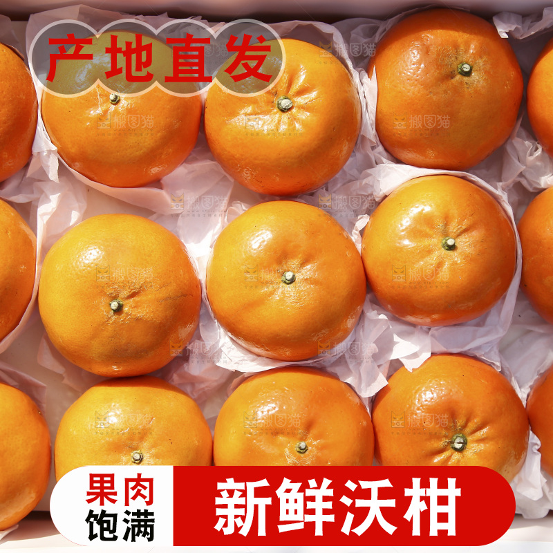 箱子里装着武鸣沃柑