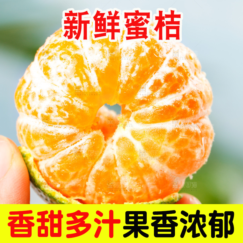 手里拿着清香茶橘