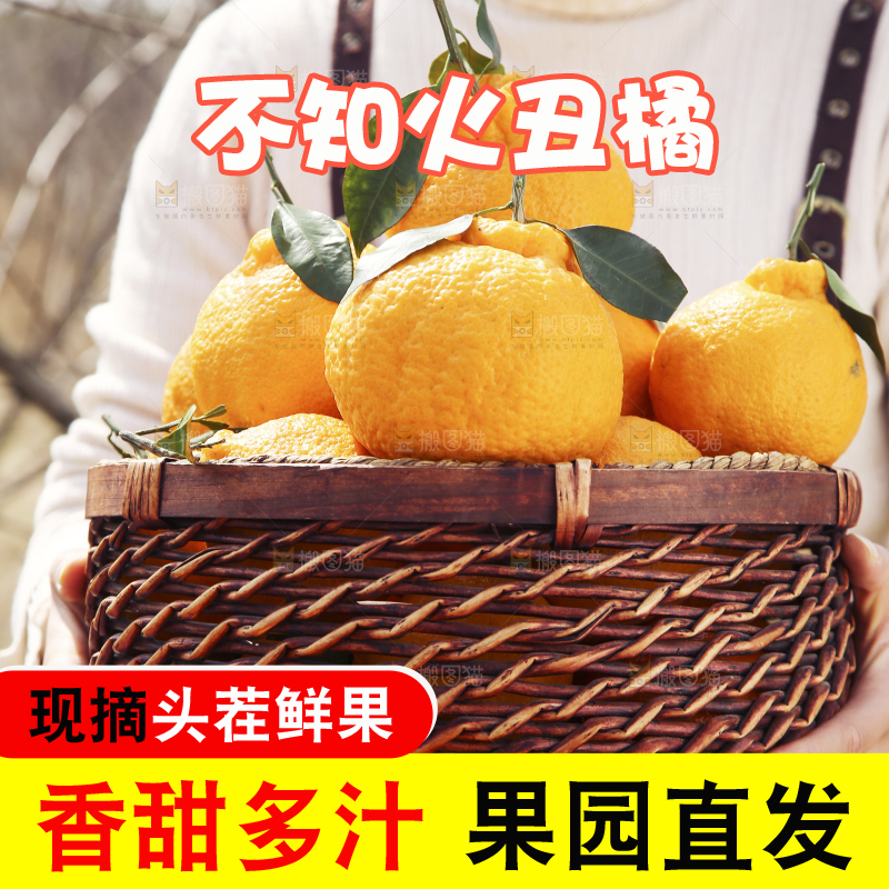 果园女孩手里抱着一篮四川丑橘