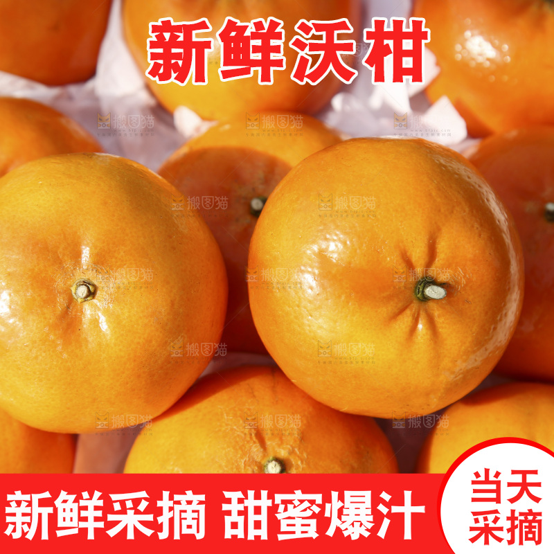 箱子里装着武鸣沃柑