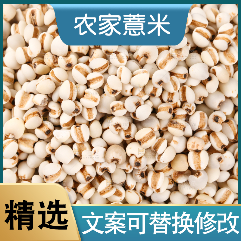 薏米纹理
