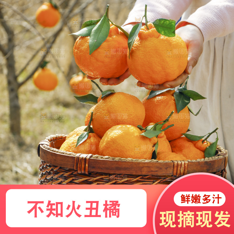 手里拿着丑八怪