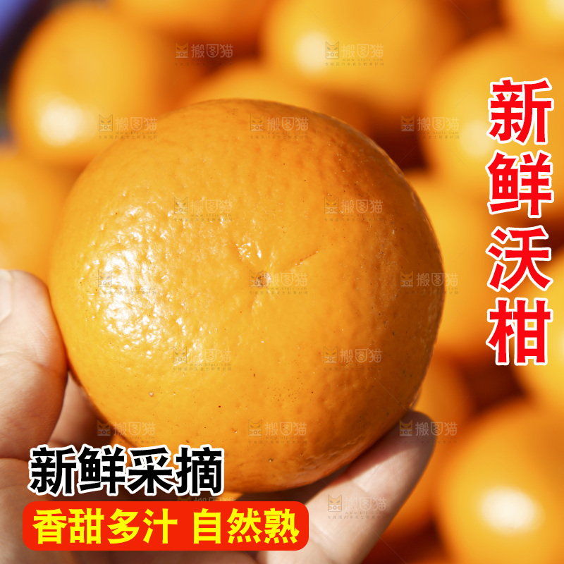 手里拿着沃柑