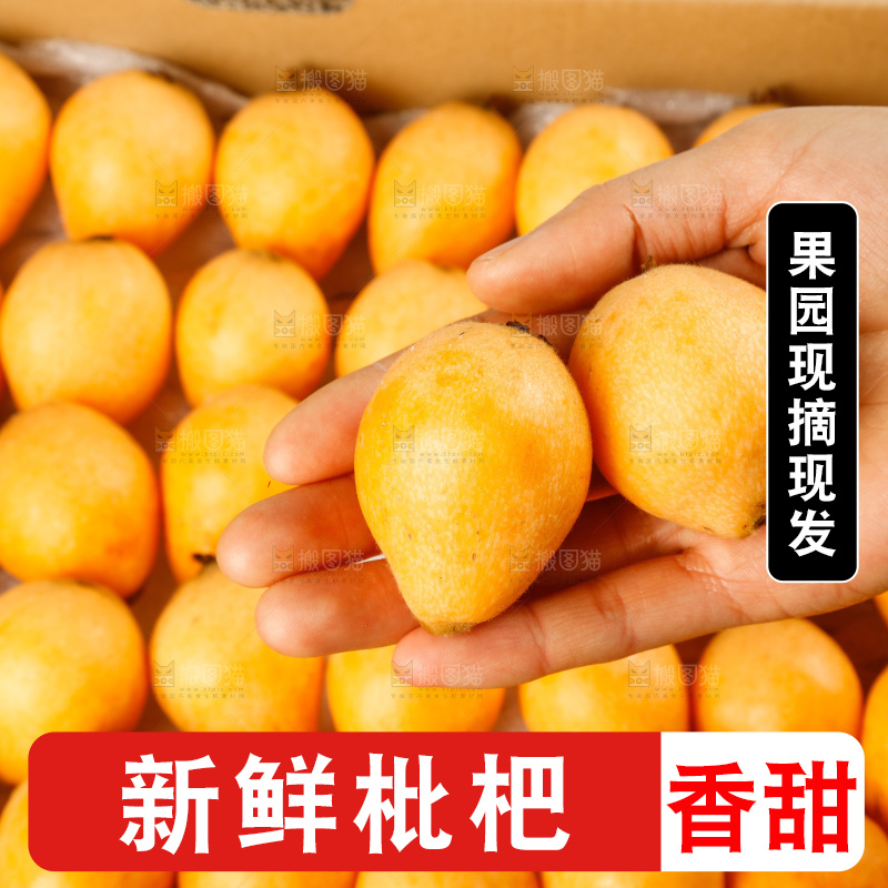 枇杷纹理