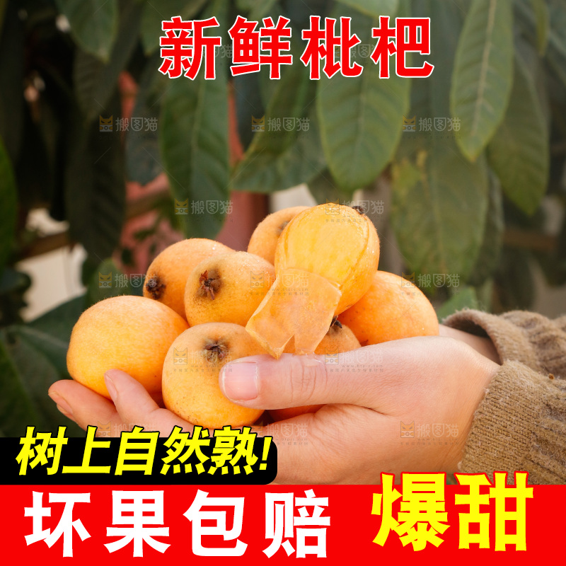 手里捧着枇杷