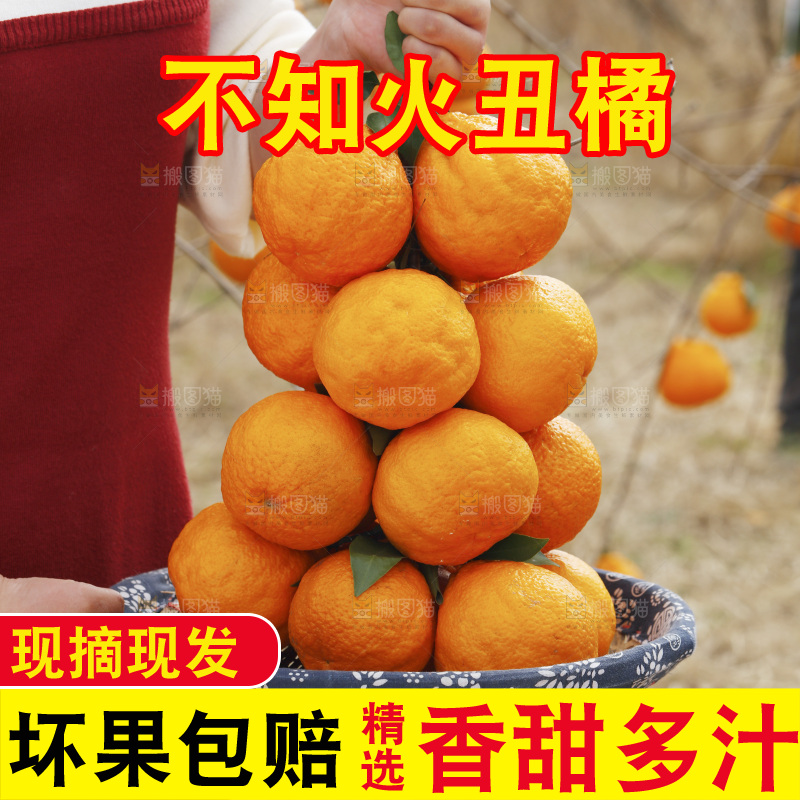 手里拿着一串丑橘