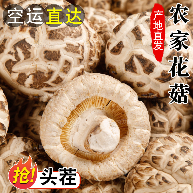 篮子里的白花菇
