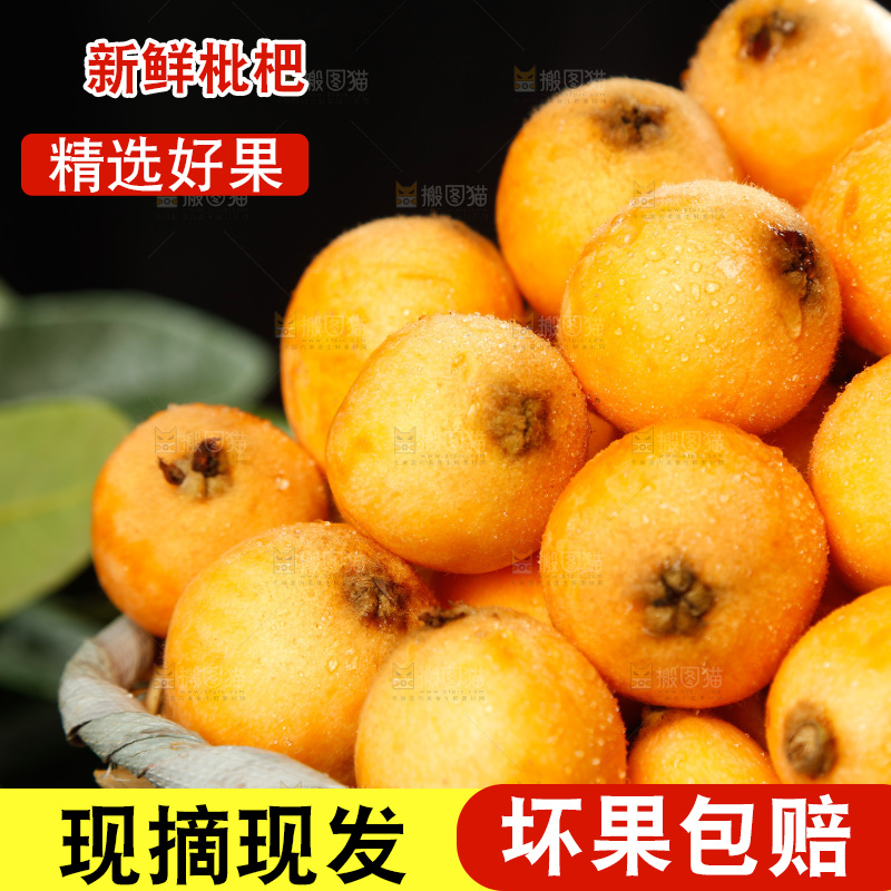 篮子里的枇杷