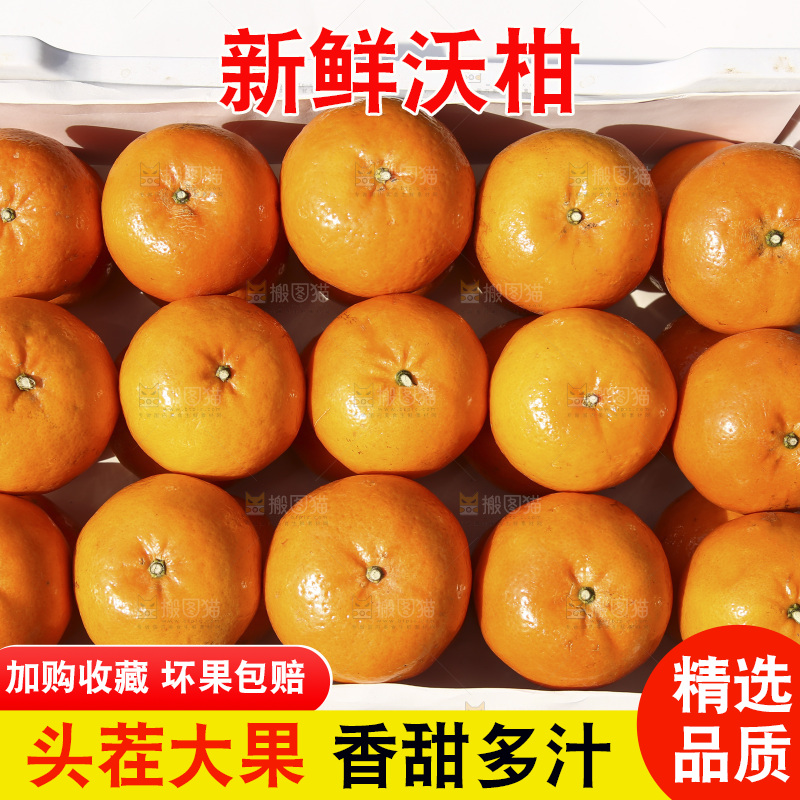 白底上放着一箱沃柑