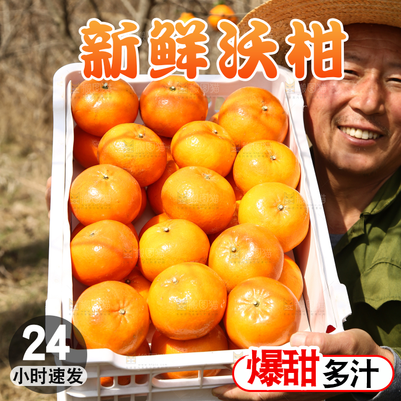 果园农民手里抱着一框广西武鸣沃柑
