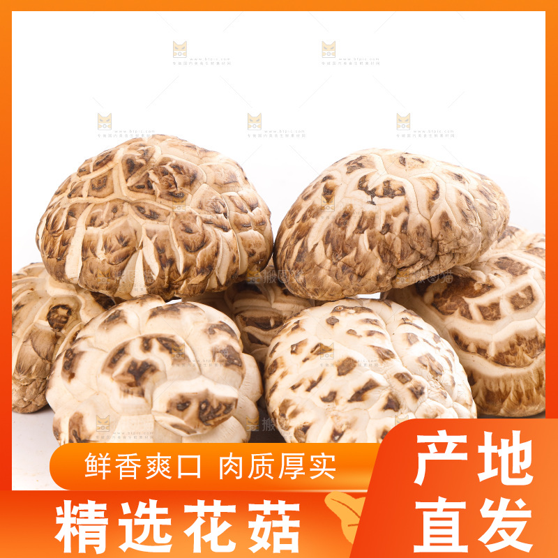 白底上放着花菇