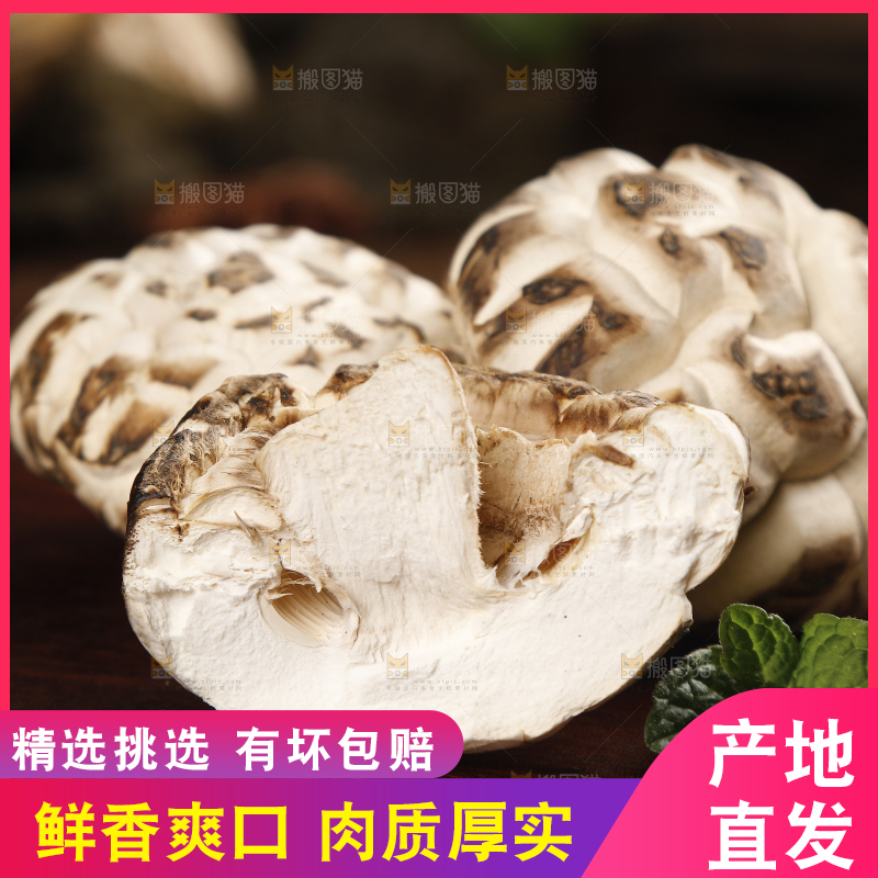 木底上放着东北椴木花菇