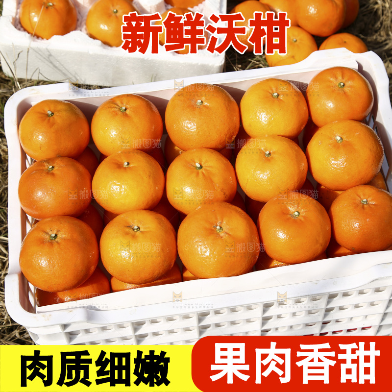 框子里放着武鸣沃柑