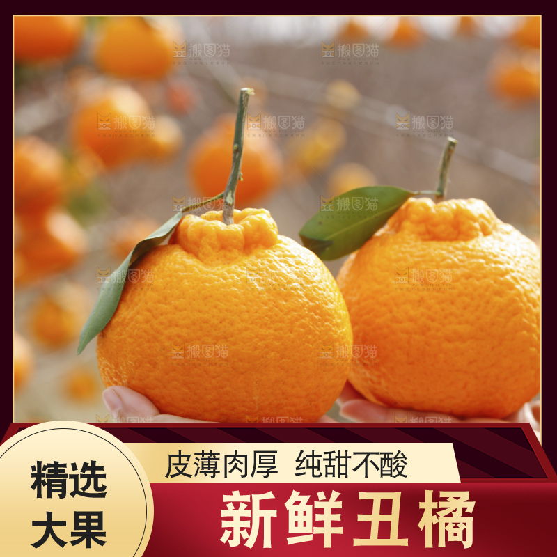 手里拿着丑八怪