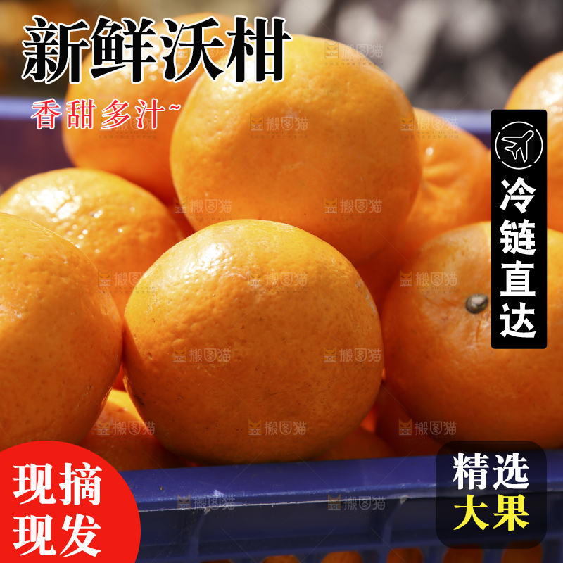 框子里装着广西沃柑