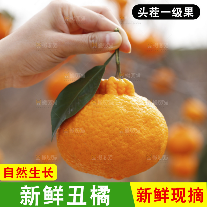 手里拿着丑八怪