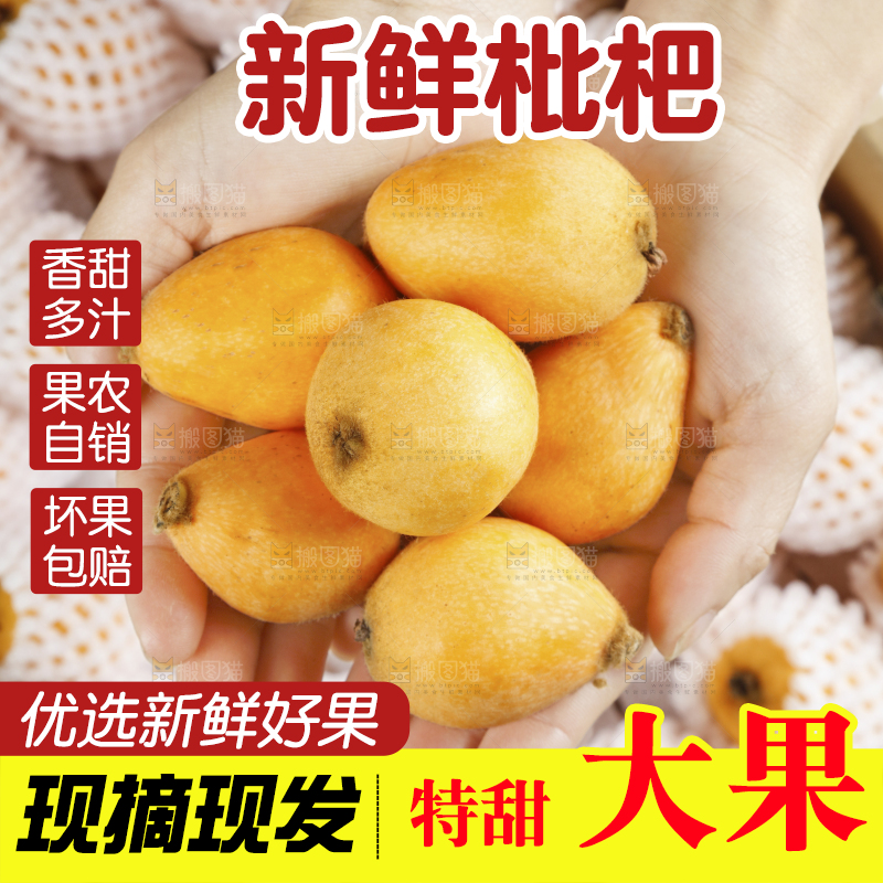 手里捧着枇杷