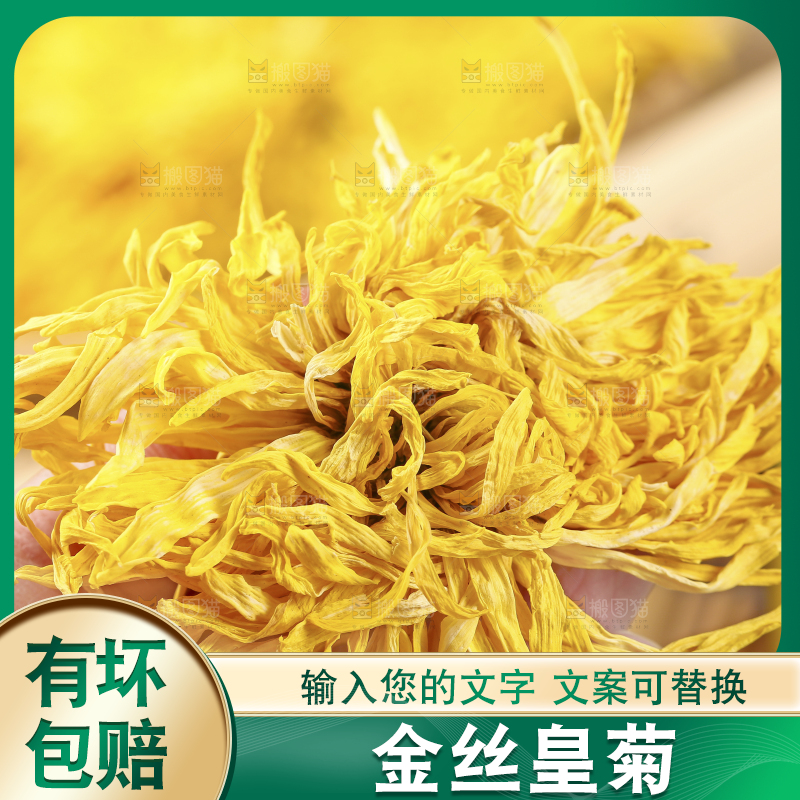 手里拿着金丝皇菊