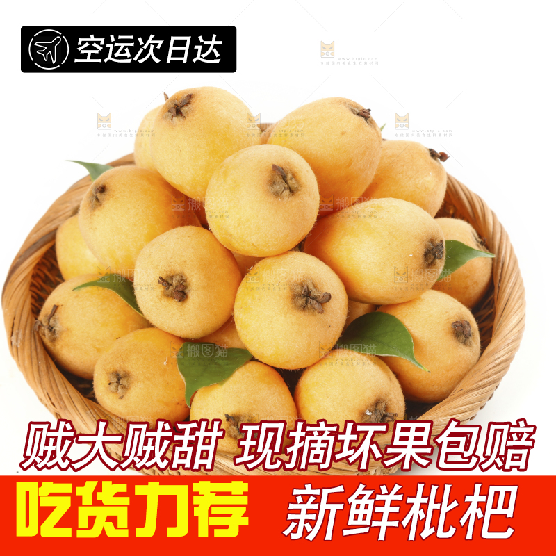 白底上放着一篮米易枇杷